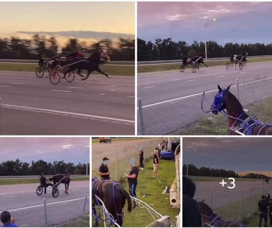 Carreras de coches tirados por caballos en Hialeah, Florida.