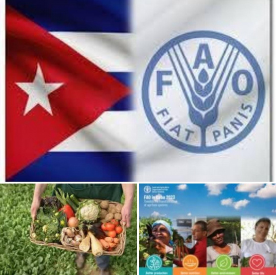 Cuba, uno de los países mejor alimentados según la FAO.